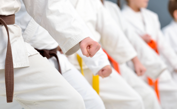 武术跆拳道培训机构管理系统